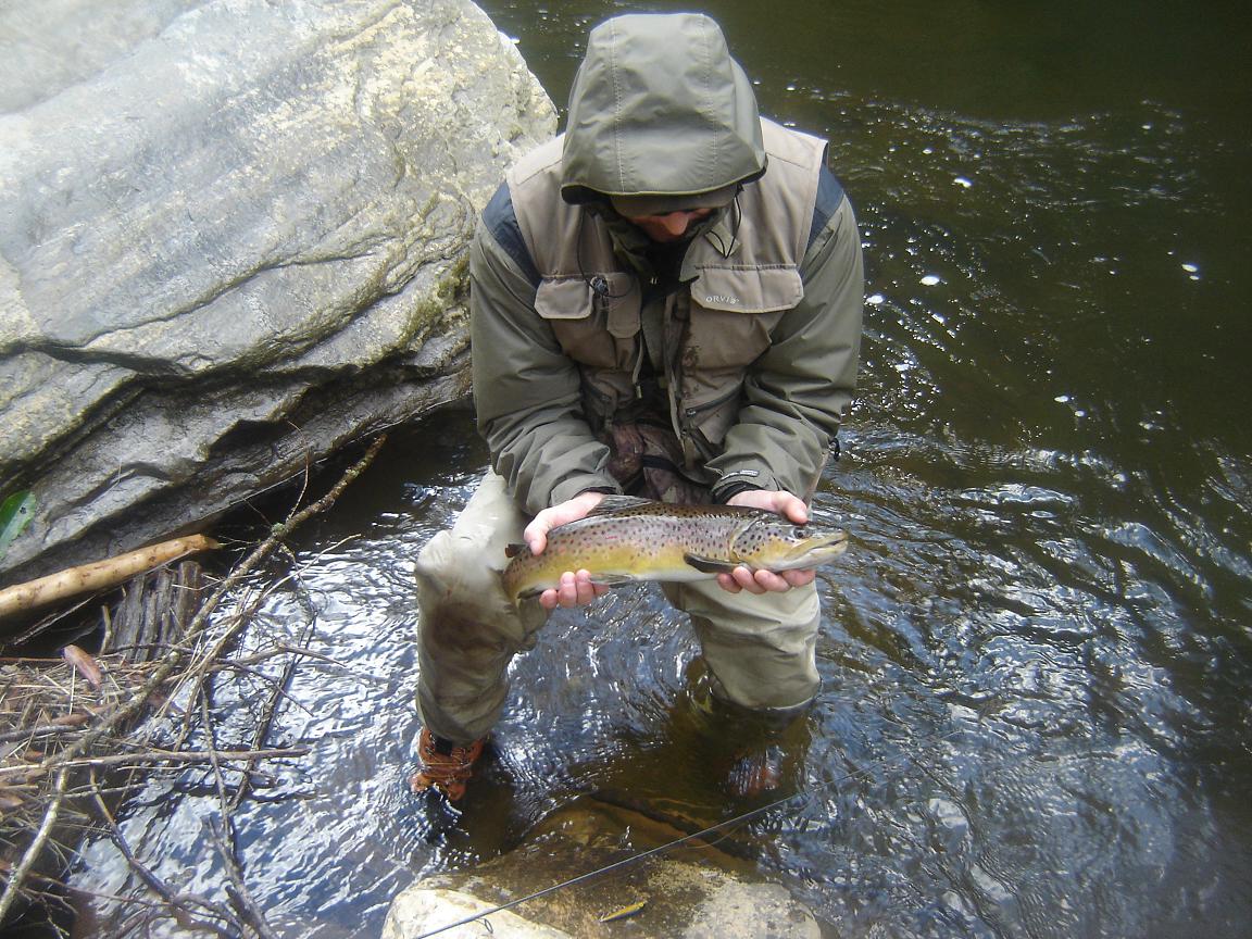 Large Winter Brown Trout