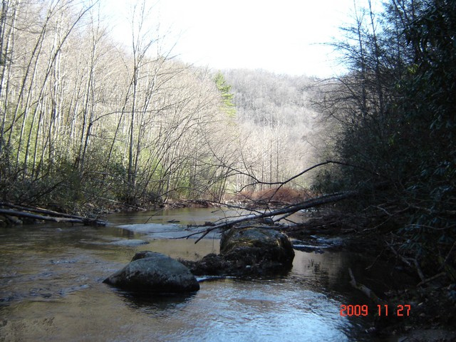 Wilson Creek Photograph