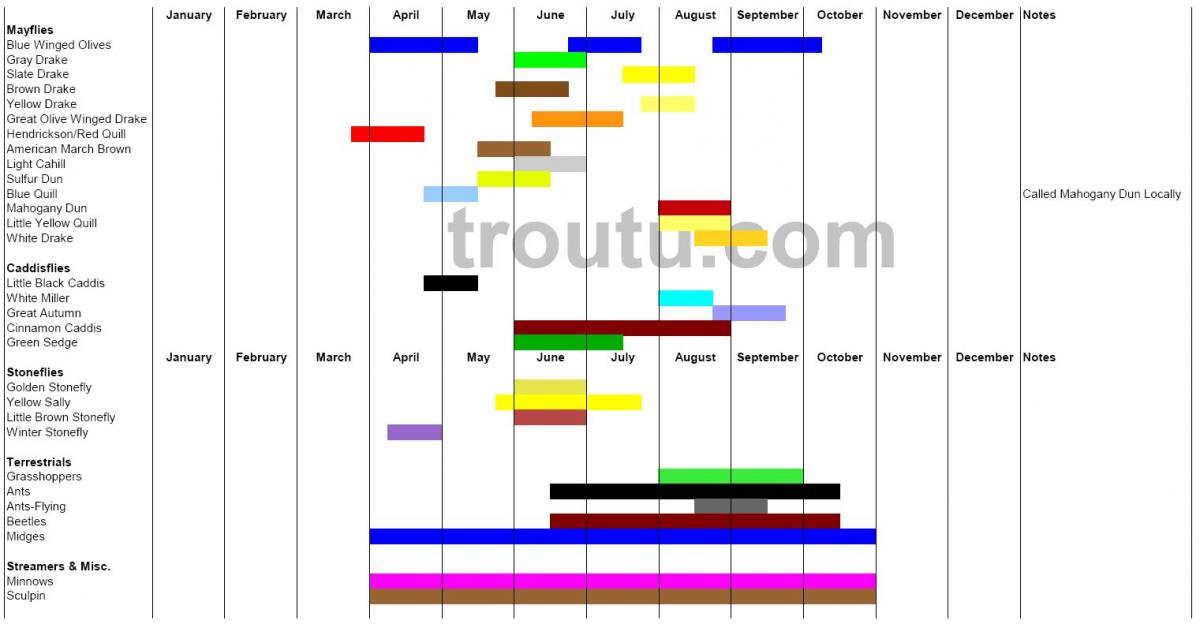 Western Pa Fly Fishing Hatch Chart