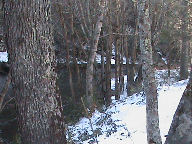 Fishing In The Snow