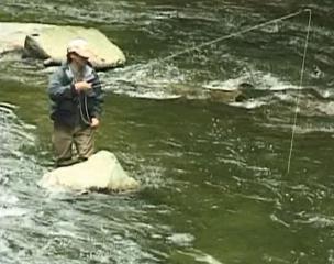 High Sticking Nymph Fly Fishing