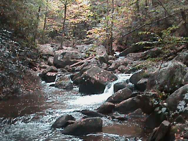 Jacob's Fork Wild Trout Water 2