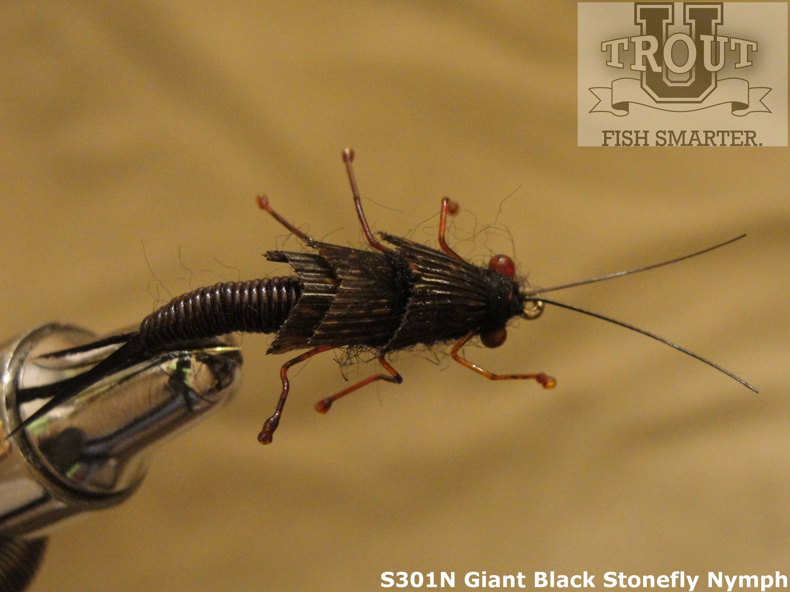 Giant Black Stonefly Nymph