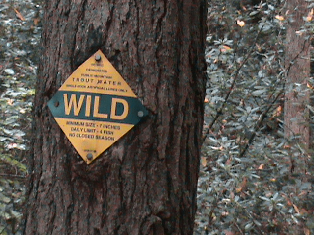 Shinny Creek Wild Trout Regulations Sign