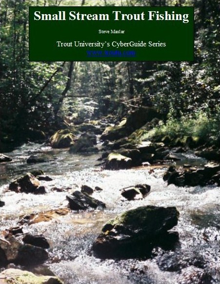 Small Stream Trout Fishing Ebook