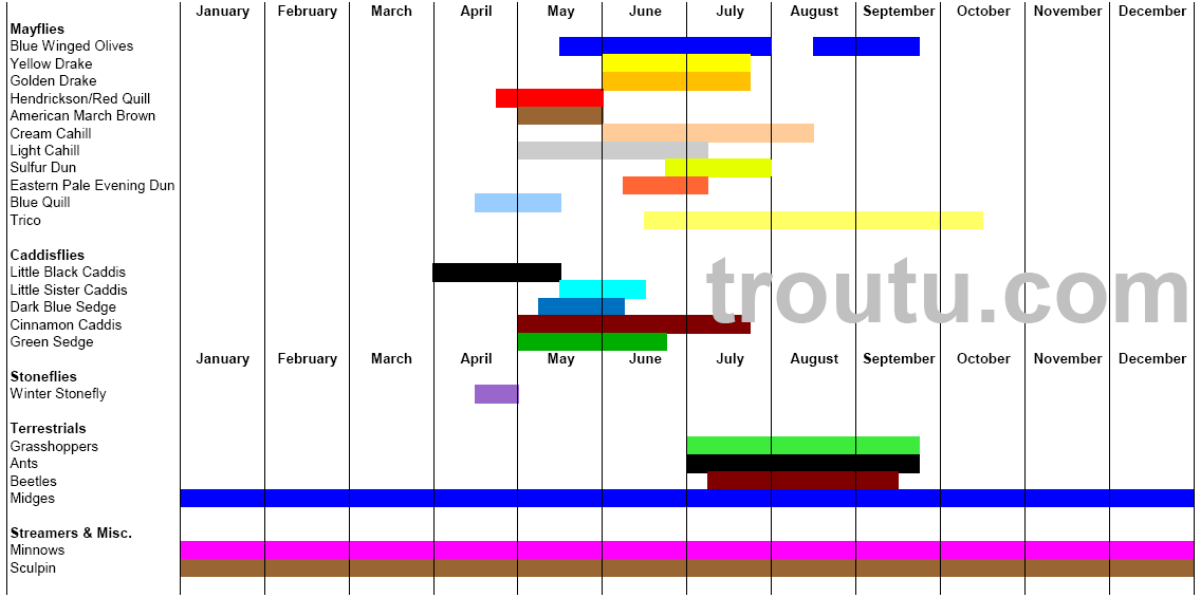 Michigan Fly Fishing Hatch Chart