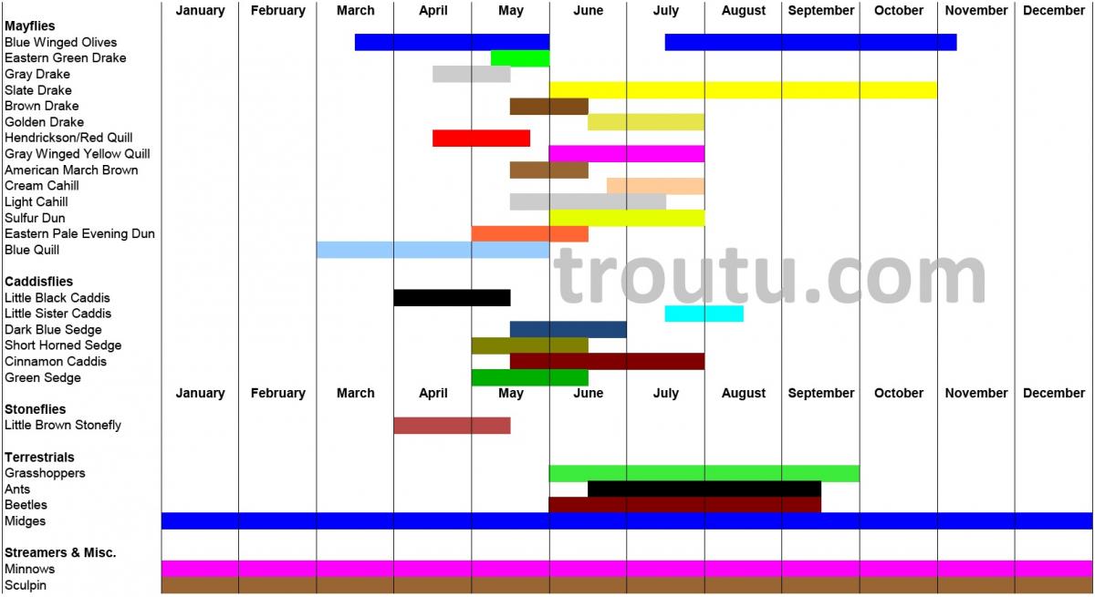 Western Pa Fly Fishing Hatch Chart