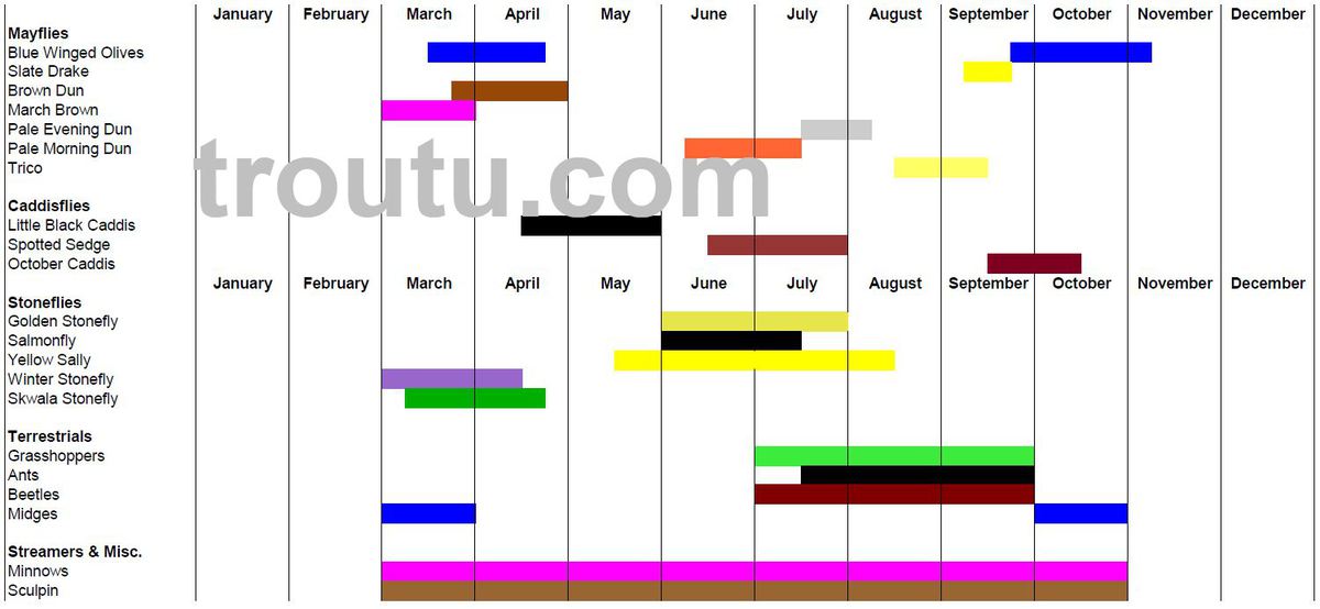 Fly Fishing Hatch Chart Michigan