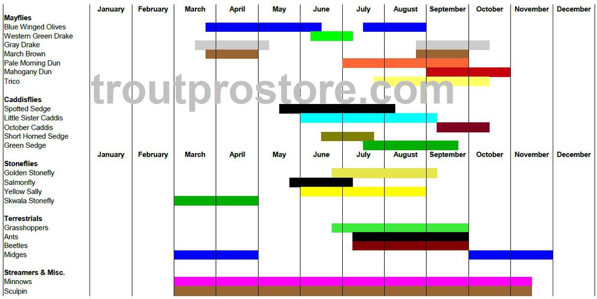 Ausable River Hatch Chart