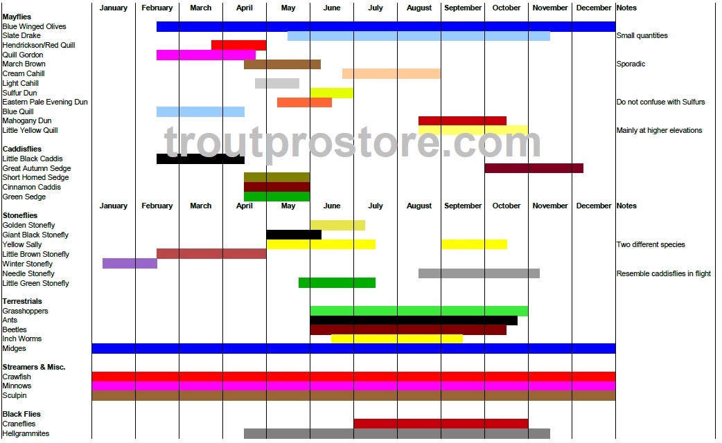 Fly Hatch Chart Ny