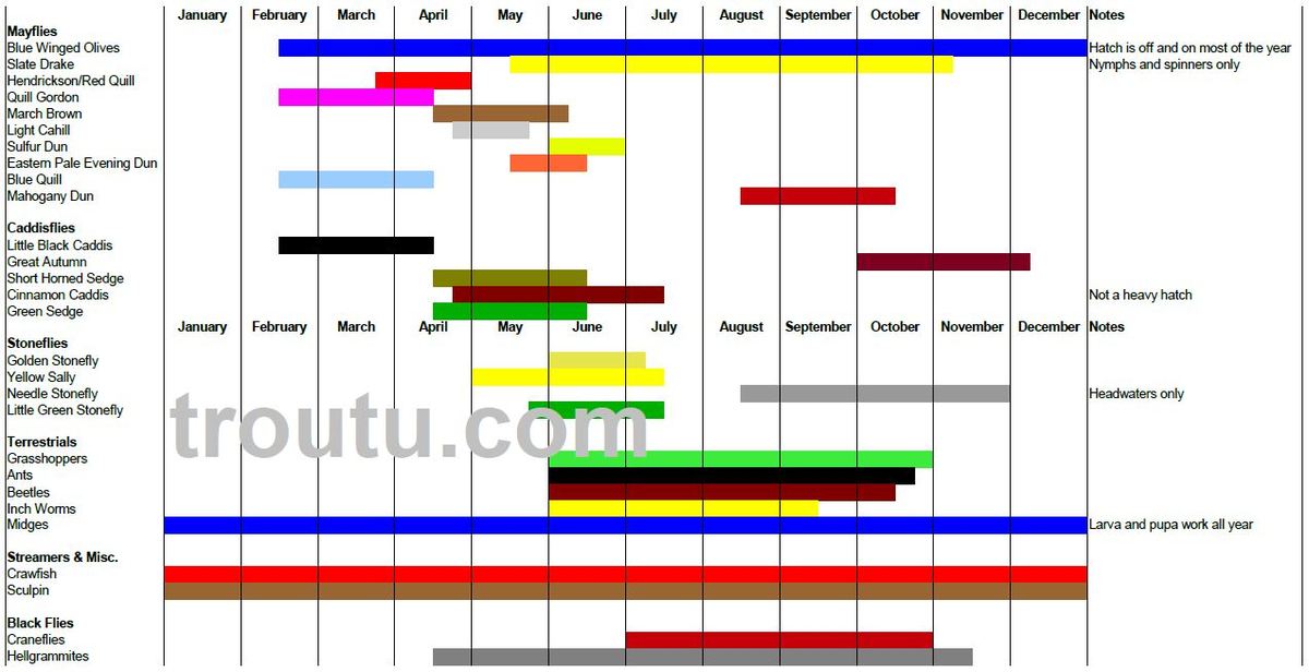 Delaware River Hatch Chart