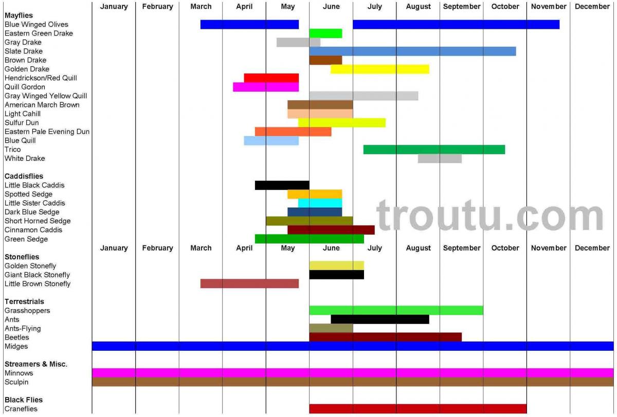 Fly Fishing Hatch Chart Michigan