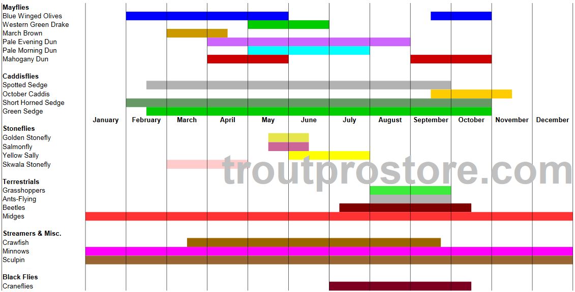 Hatch Chart 101 - CatchGuide Outdoors