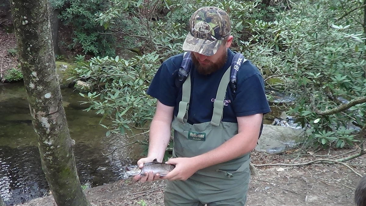 Stone_Mountain_State_Park_Brook_Trout_Troutprostore