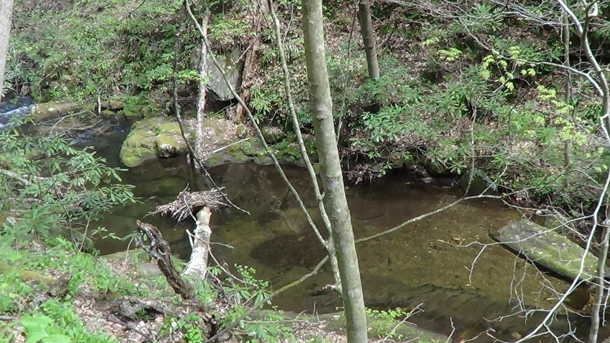 Garden_Creek_Stone_Mountain_State_Park_Troutprostore