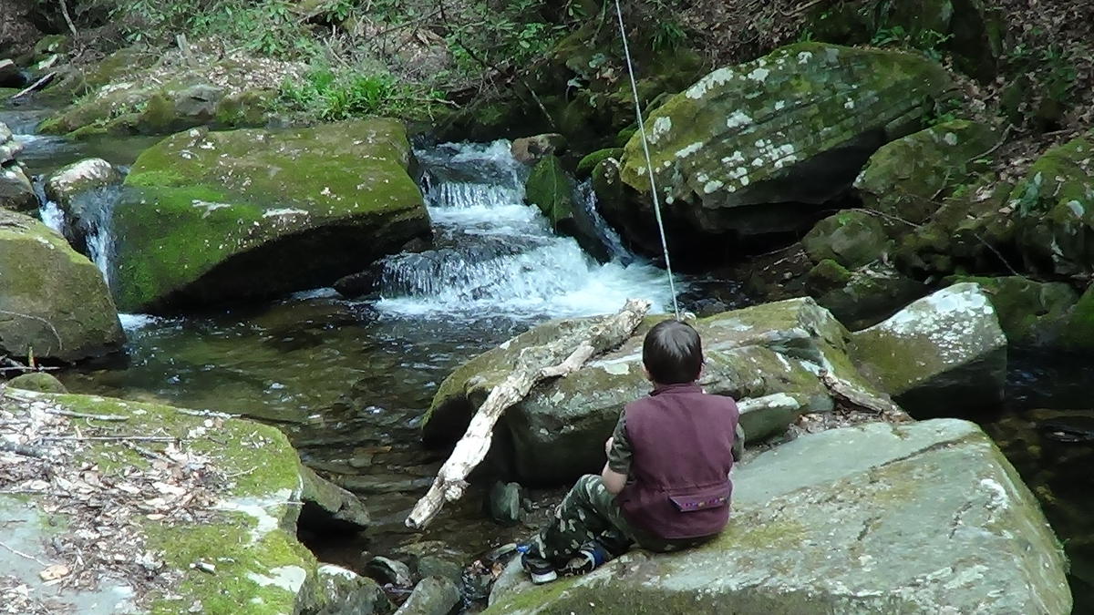 Garden_Creek_Stone_Mountain_State_Park_Troutprostore