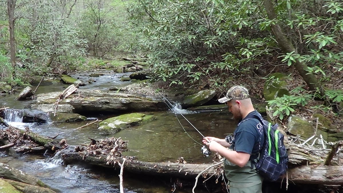 Garden_Creek_Stone_Mountain_State_Park_Troutprostore