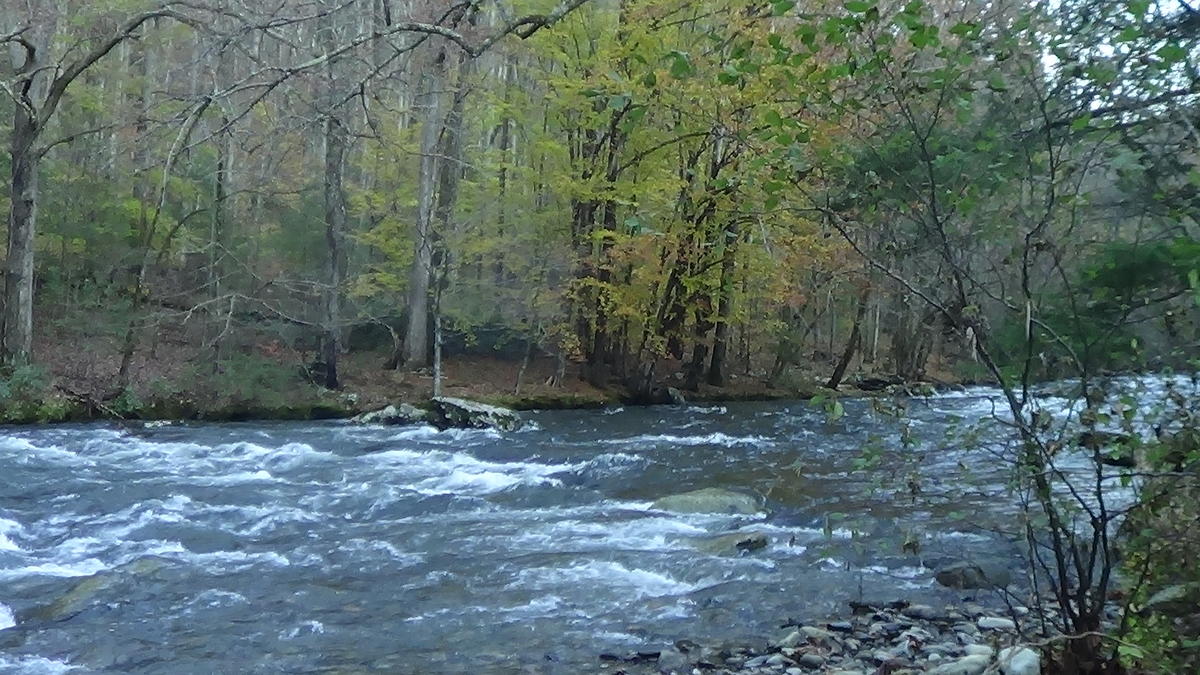 Little_River_Great_Smoky_Mountains_National_Park_Troutprostore