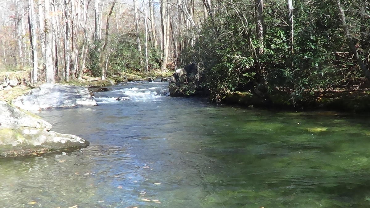 Straight_Fork_Great_Smoky_Mountains_Troutprostore