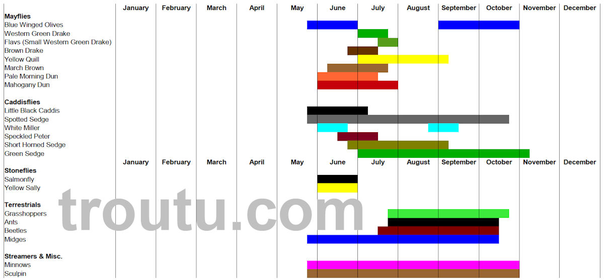 Ausable River Hatch Chart