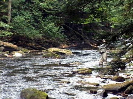 Fishing Creek Pennsylvania