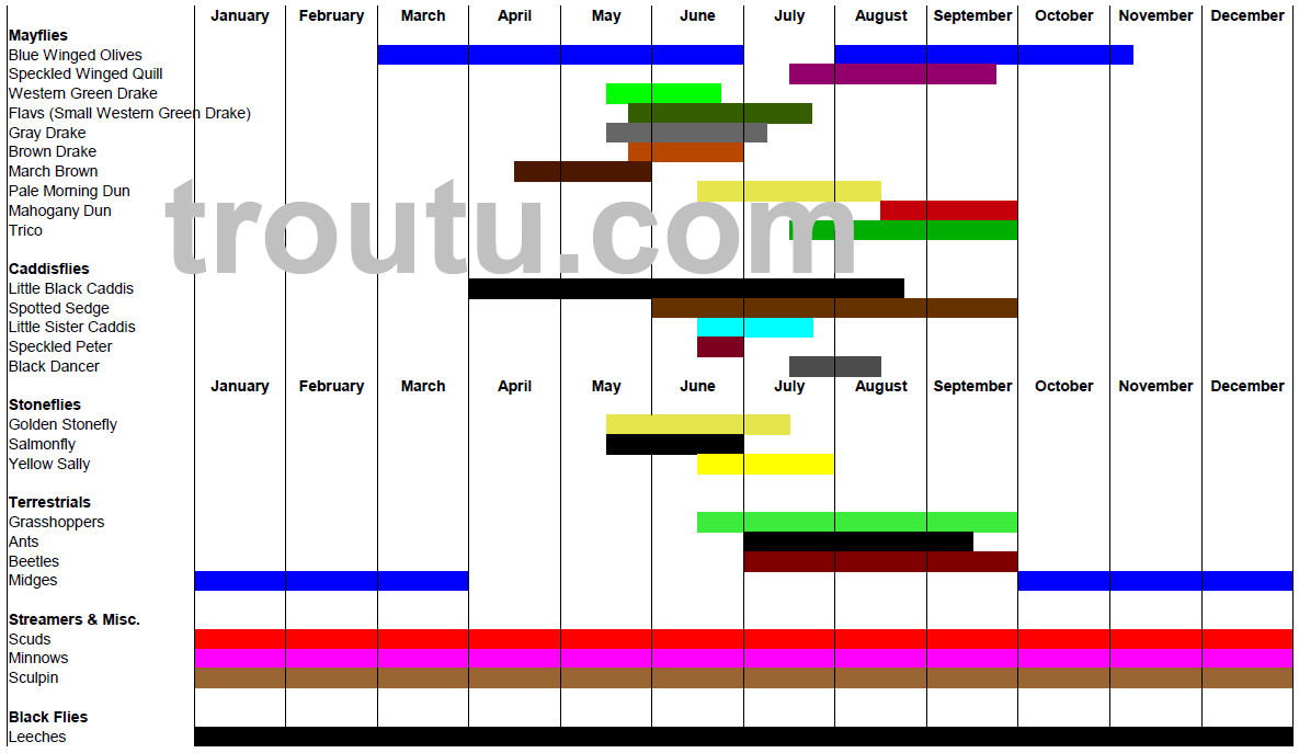 Smoky Mountain Fly Fishing Hatch Chart