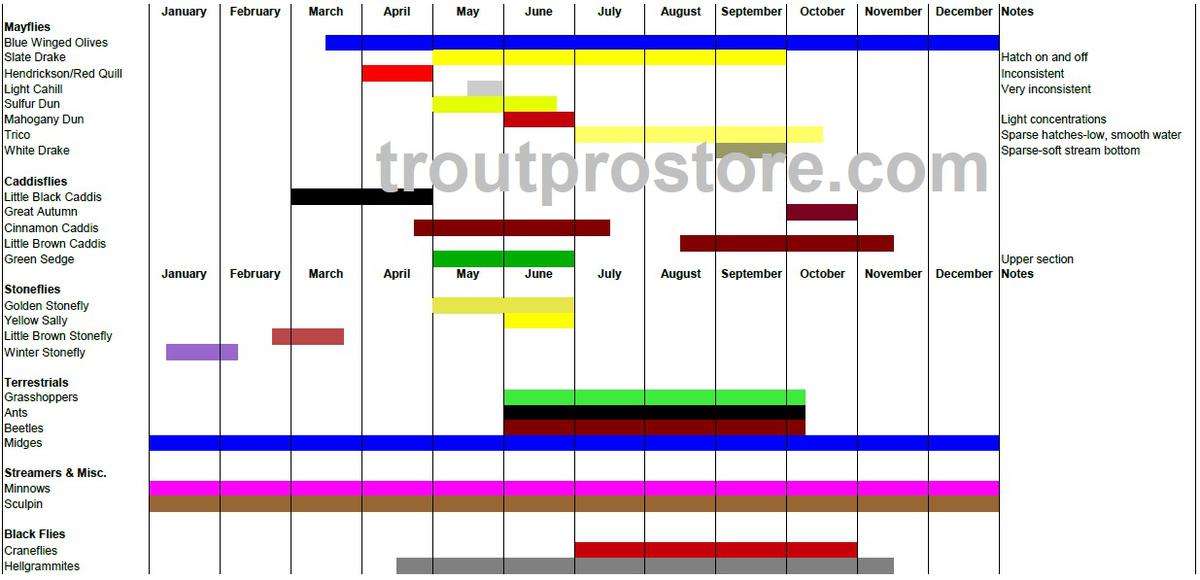 Ausable River Hatch Chart