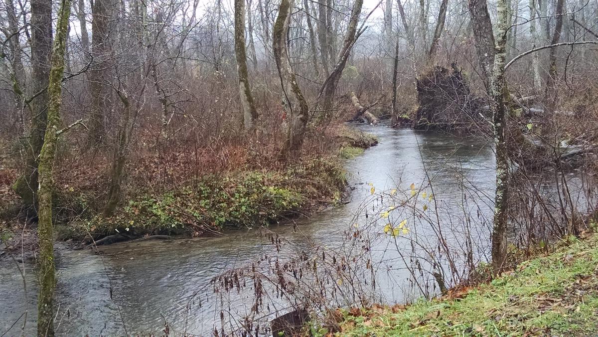 Troutprostore_Cades_Cove_Abrams_Creek