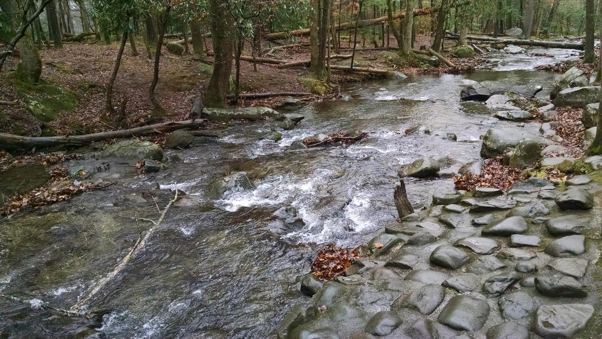 Troutprostore_Great_Smoky_Mountains_Anthony_Creek