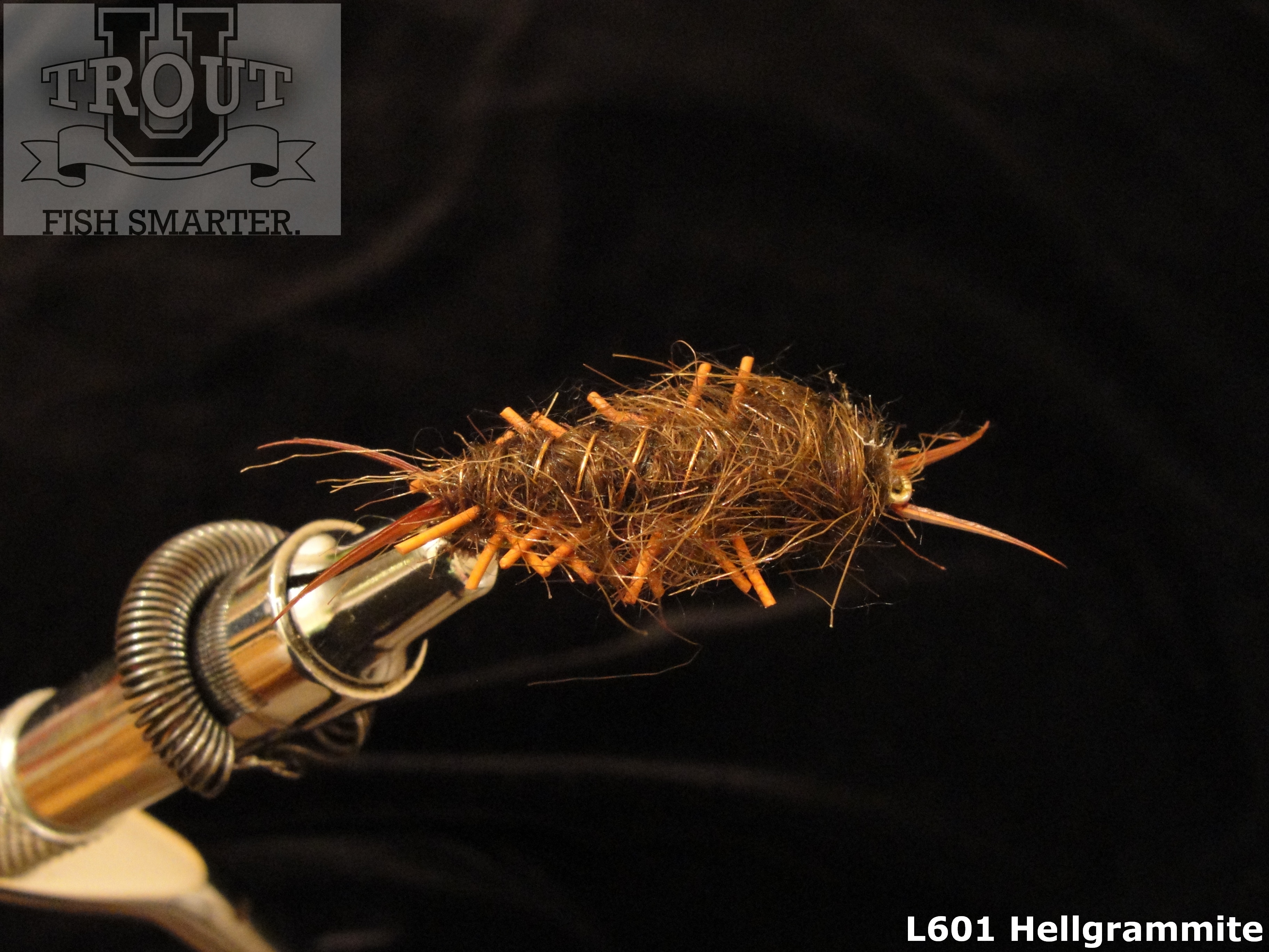 Hellgrammite  Trout Pro Store