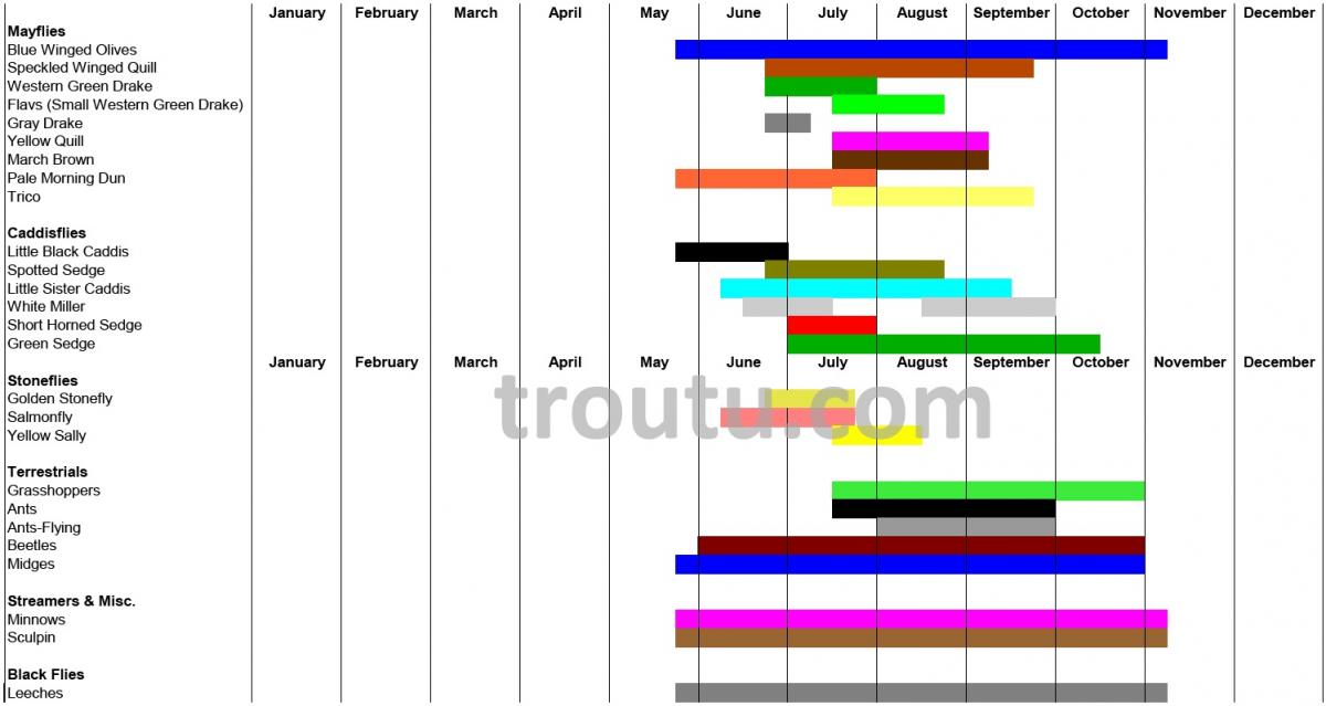 Ausable River Hatch Chart