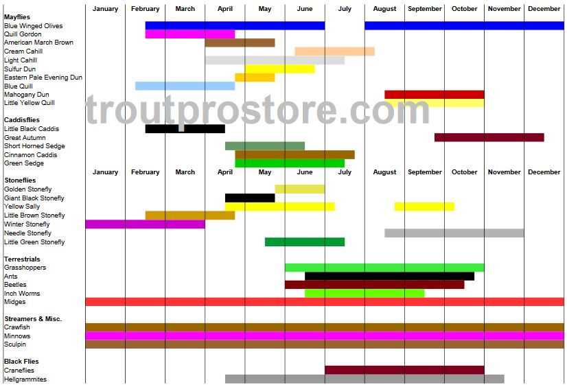 Noontootla_Creek_Georgia_Hatch_Chart_Troutprostore.com