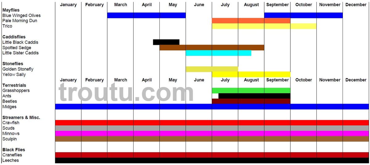 Ausable River Hatch Chart