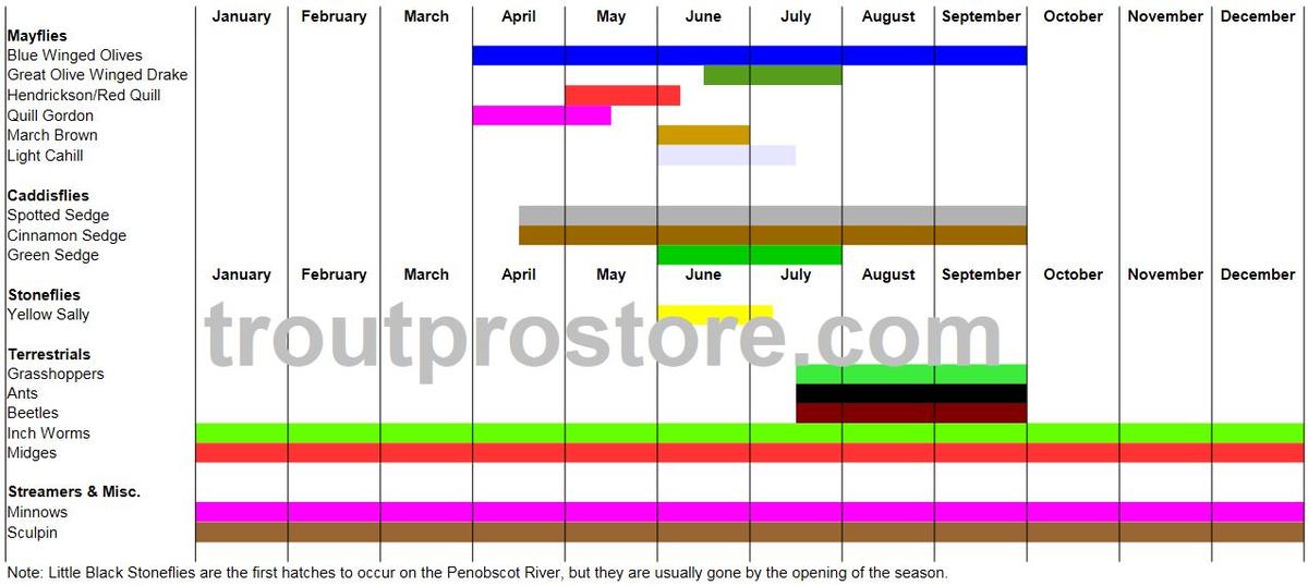 Penobscot_River_Maine_Hatch_Chart_Trout_Pro_Store