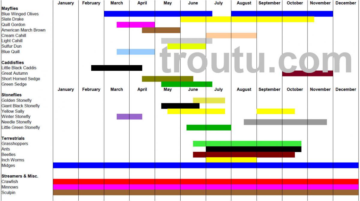 Ausable River Hatch Chart