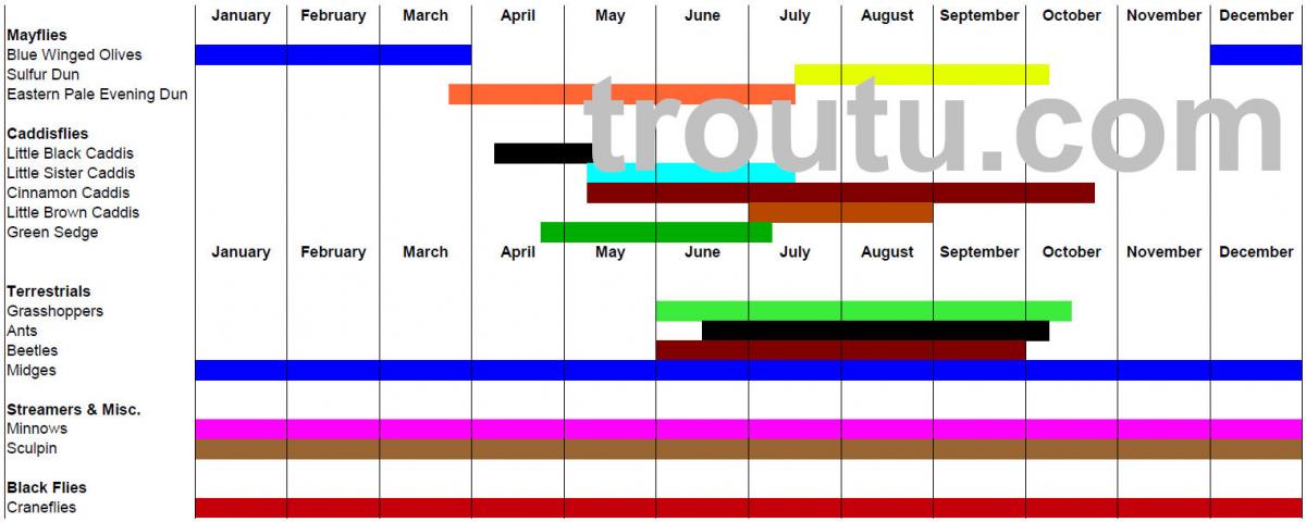 Ausable River Hatch Chart