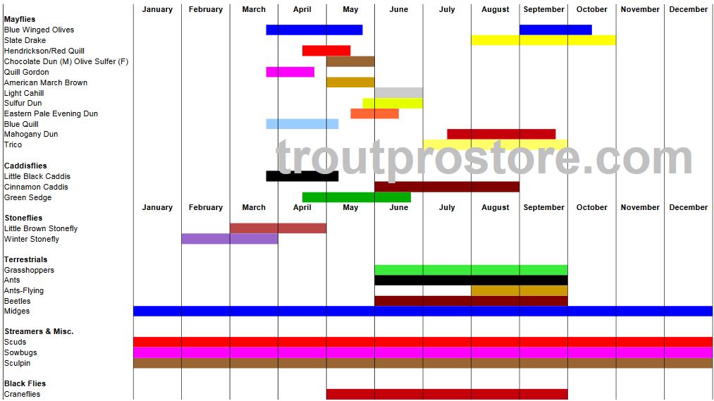 Spring Creek Hatch Chart