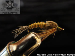 Fly Fishing with Mayfly Clinger Nymphs