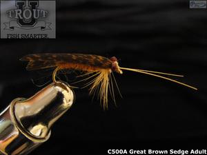 Fall Fly Fishing with Caddisflies