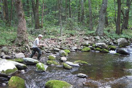 Fly Fishing for Small Stream Brown Trout