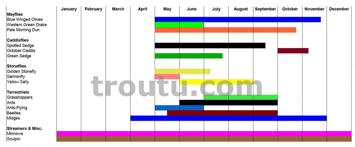 Ausable River Hatch Chart