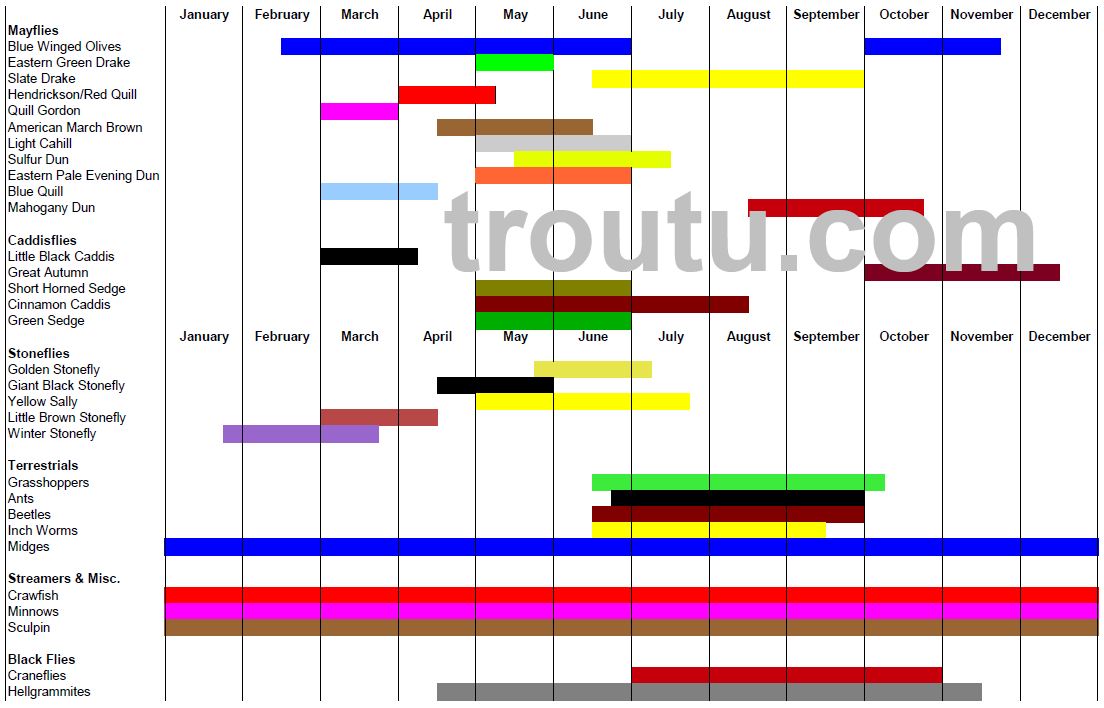 Fly Fishing Hatch Chart Michigan