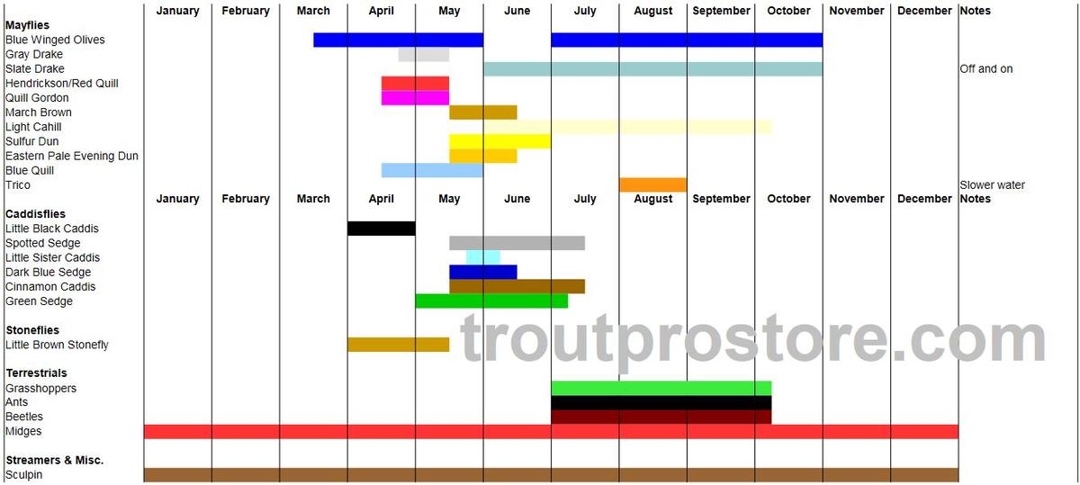 Trout_Pro_Store_Willowemoc_Creek_Hatch_Chart